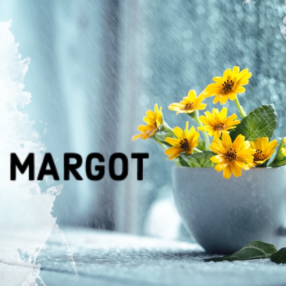 ALL REASONABLE OFFERS WELCOME!